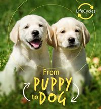 Cover image for From Puppy to Dog