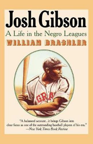 Cover image for Josh Gibson: A Life in the Negro Leagues