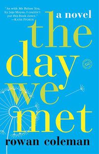 Cover image for The Day We Met: A Novel