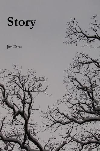 Cover image for Story