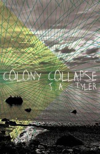 Cover image for Colony Collapse