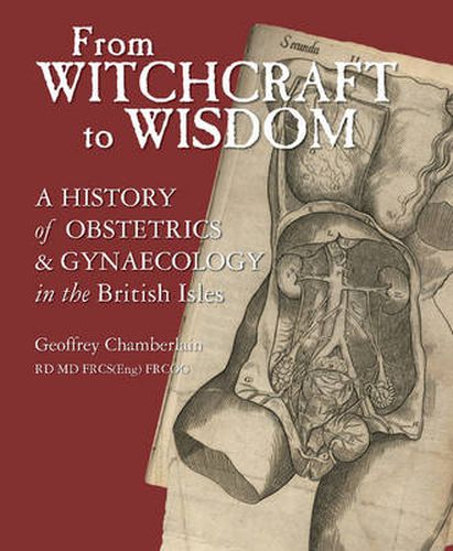 Cover image for From Witchcraft to Wisdom: A History of Obstetrics and Gynaecology in the British Isles