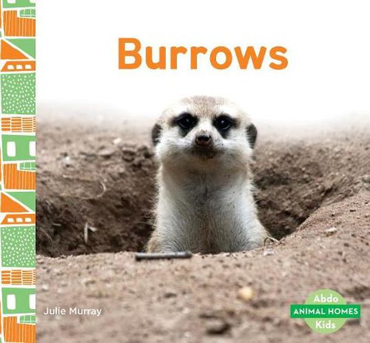 Cover image for Burrows