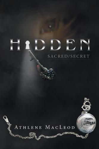 Cover image for Hidden