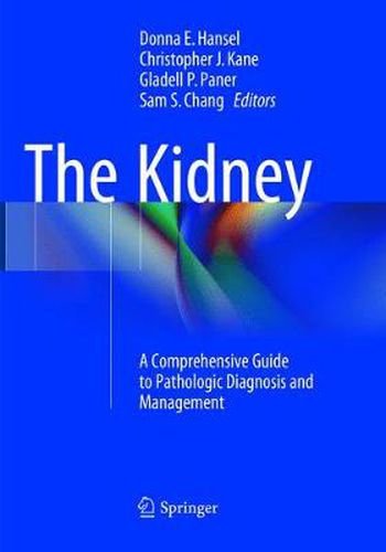 The Kidney: A Comprehensive Guide to Pathologic Diagnosis and Management