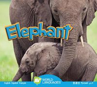 Cover image for Elephant