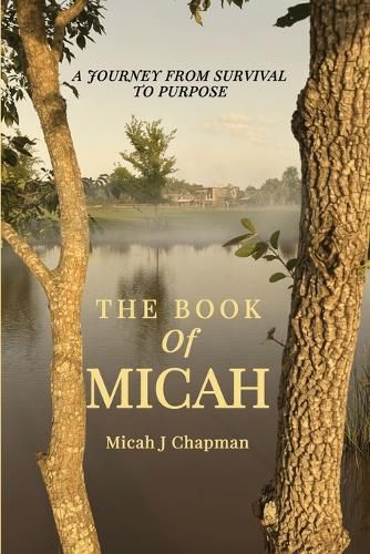 Cover image for The Book of Micah