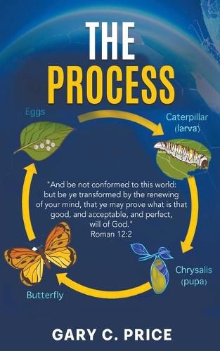 Cover image for The Process