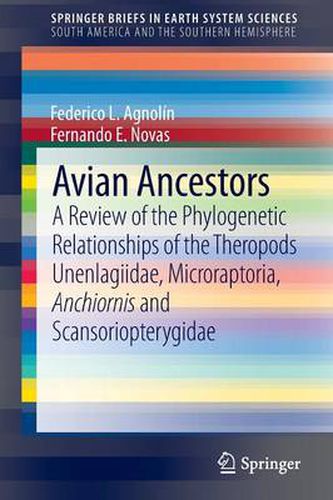 Cover image for Avian Ancestors: A Review of the Phylogenetic Relationships of the Theropods Unenlagiidae, Microraptoria, Anchiornis and Scansoriopterygidae