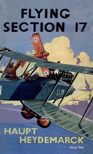 Cover image for Flying Section 17