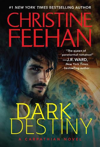 Cover image for Dark Destiny
