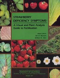 Cover image for Strawberry Deficiency Symptoms: A Visual and Plant Analysis Guide to Fertilization