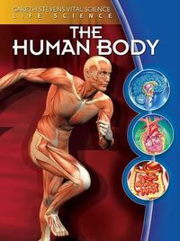 Cover image for The Human Body