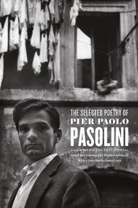 Cover image for The Selected Poetry of Pier Paolo Pasolini: A Bilingual Edition