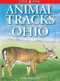 Cover image for Animal Tracks of Ohio