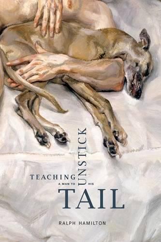 Cover image for Teaching a Man to Unstick His Tail