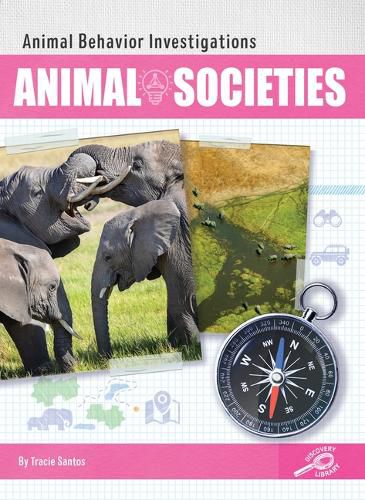 Cover image for Animal Societies