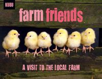 Cover image for Farm Friends: A Visit to the Local Farm