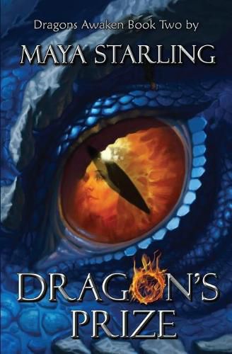 Cover image for Dragon's Prize