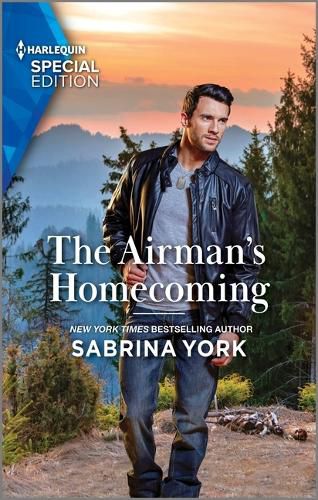 Cover image for The Airman's Homecoming