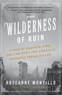 Cover image for The Wilderness of Ruin: A Tale of Madness, Fire, and the Hunt for America's Youngest Serial Killer