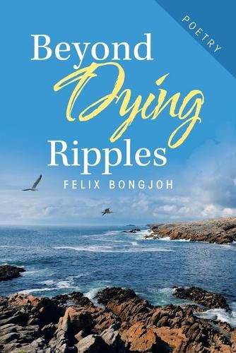 Cover image for Beyond Dying Ripples