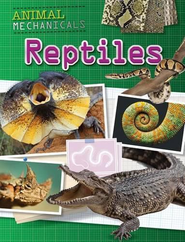 Cover image for Reptiles