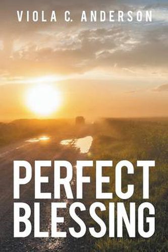 Cover image for Perfect Blessing