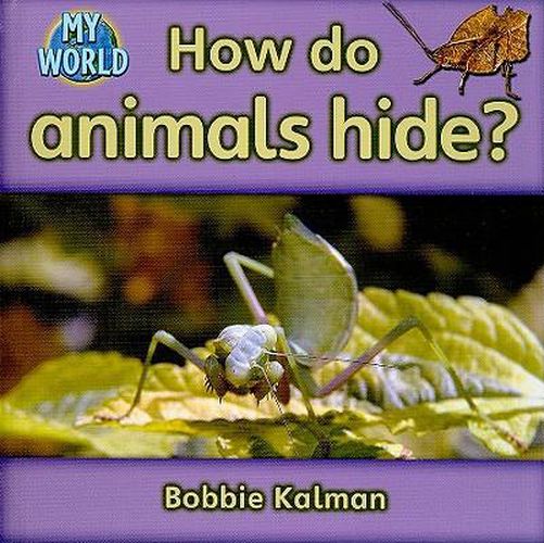 Cover image for How Do Animals Hide?