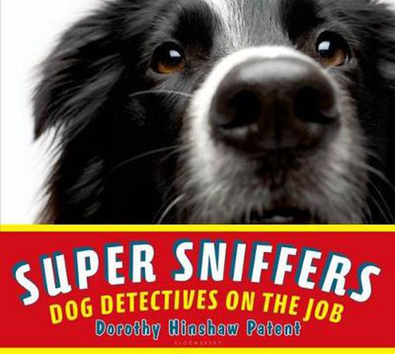 Cover image for Super Sniffers: Dog Detectives on the Job