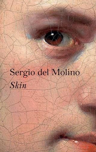 Cover image for Skin