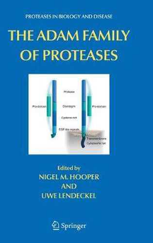 Cover image for The ADAM Family of Proteases