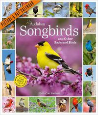 Cover image for Audubon Songbirds and Other Backyard Birds Picture-A-Day (R) Wall Calendar 2025