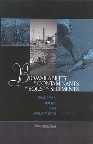 Bioavailability of Contaminants in Soils and Sediments: Processes, Tools, and Applications