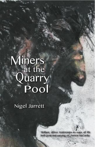 Cover image for Miners at the Quarry Pool