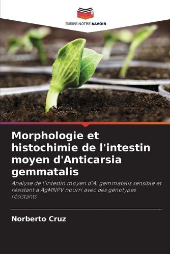 Cover image for Morphologie et histochimie de l'intestin moyen d'Anticarsia gemmatalis