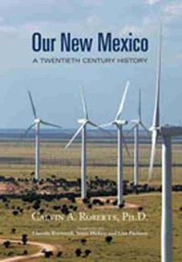 Cover image for Our New Mexico: A Twentieth Century History