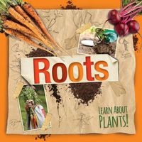 Cover image for Roots