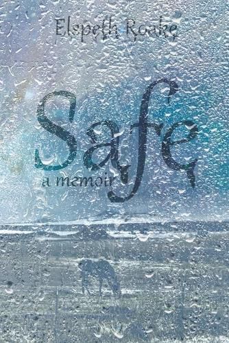 Cover image for Safe