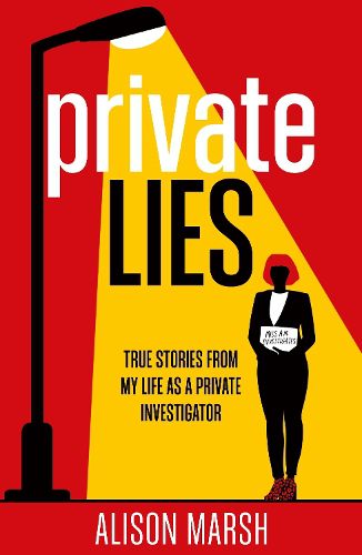 Cover image for Private Lies