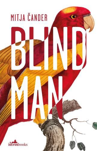 Cover image for Blind Man