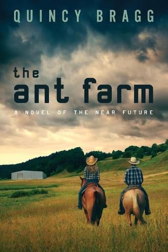 Cover image for The ant farm