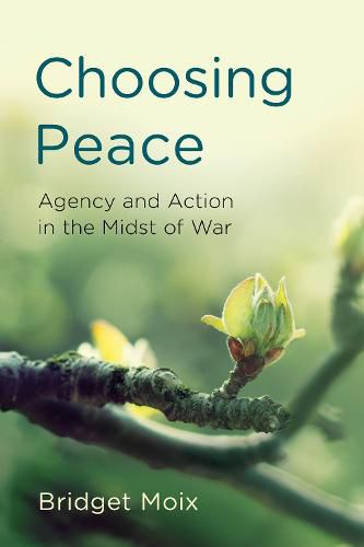 Cover image for Choosing Peace: Agency and Action in the Midst of War