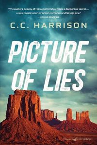 Cover image for Picture of Lies