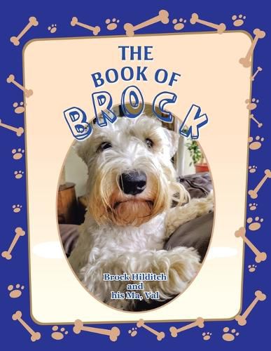 Cover image for The Book of Brock