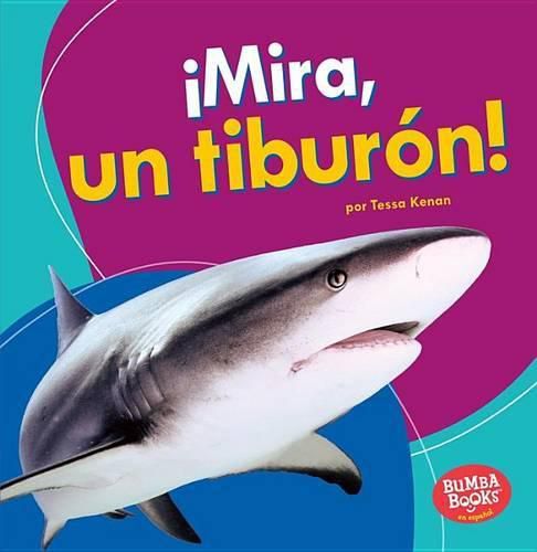 !Mira, Un Tiburon! (Look, a Shark!)