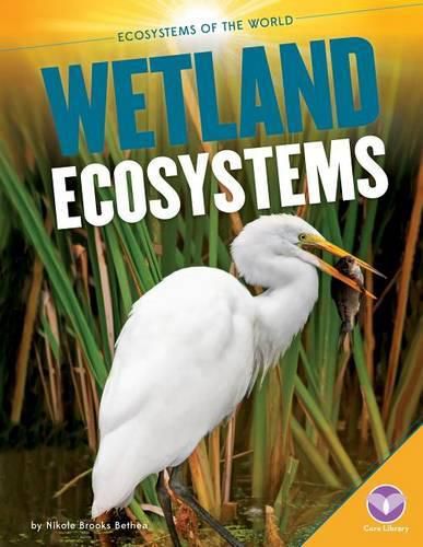 Wetland Ecosystems