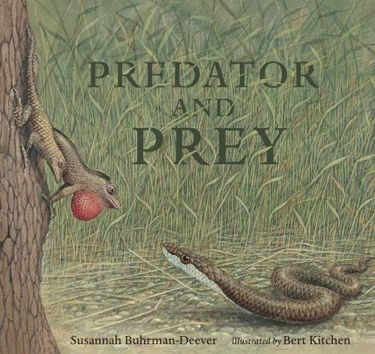 Cover image for Predator and Prey: A Conversation in Verse