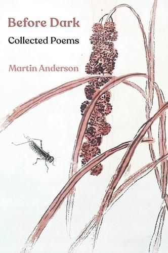 Cover image for Before Dark