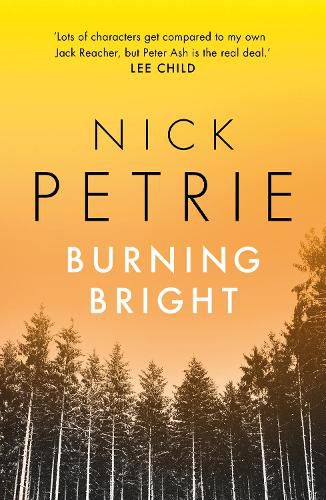 Cover image for Burning Bright